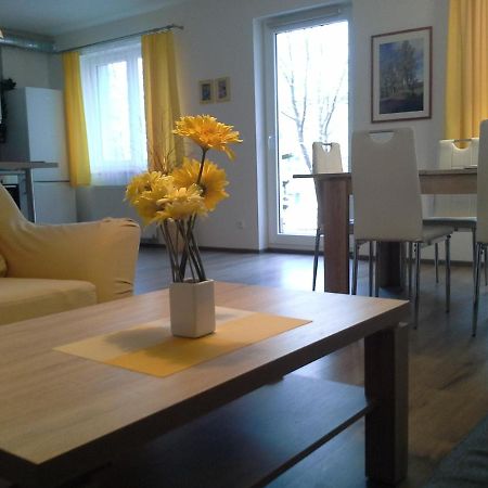 Rodinny Apartman Lucie V Blizkosti Wellness Hotelu Ve Frymburku Eksteriør bilde