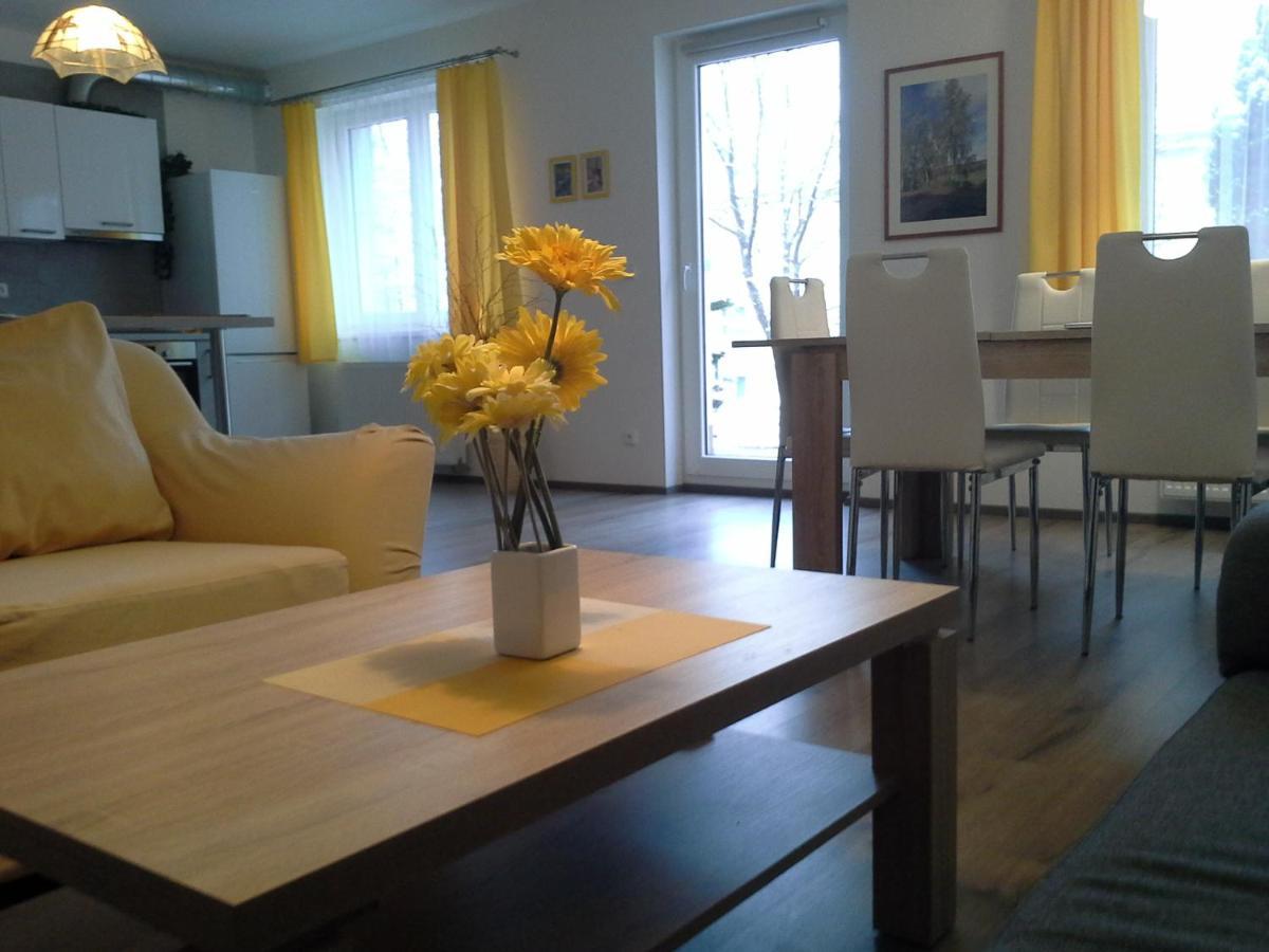 Rodinny Apartman Lucie V Blizkosti Wellness Hotelu Ve Frymburku Eksteriør bilde
