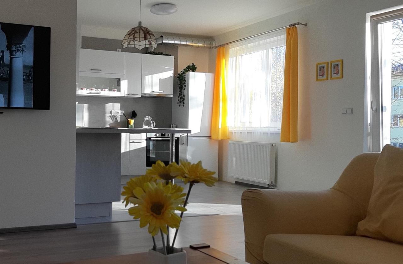 Rodinny Apartman Lucie V Blizkosti Wellness Hotelu Ve Frymburku Eksteriør bilde